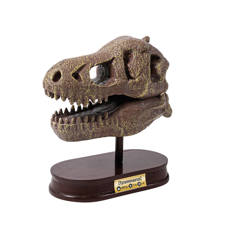 BUKI France Dinosaur skull - Tyrannosaurus