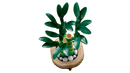 LEGO Lucky Bamboo