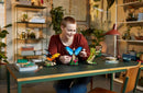 LEGO The Insect Collection