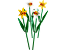 LEGO Daffodils