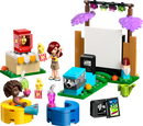 LEGO Friendship Movie Night
