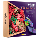 OKTO Clay Succulents Passion DIY Air Clay Craft Set