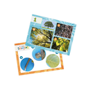 BUKI France Mini Sciences Microscope