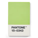 Pantone Creditcard Holder in Matte + Gift box (5 colours)