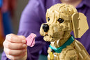 LEGO Golden Retriever Puppy