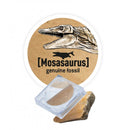 BUKI France Dino Dig Brachiosaurus