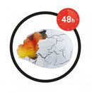 BUKI France Magic Egg