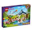LEGO Heartlake City Park Friends