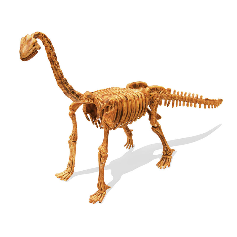 BUKI France DinoKit - Brachiosaurus
