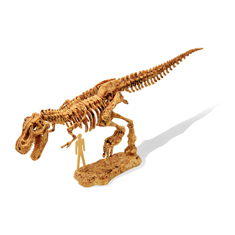 BUKI France DinoKit - T-Rex