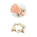 BUKI France Dig Kit - Shells