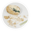 BUKI France Dino Egg