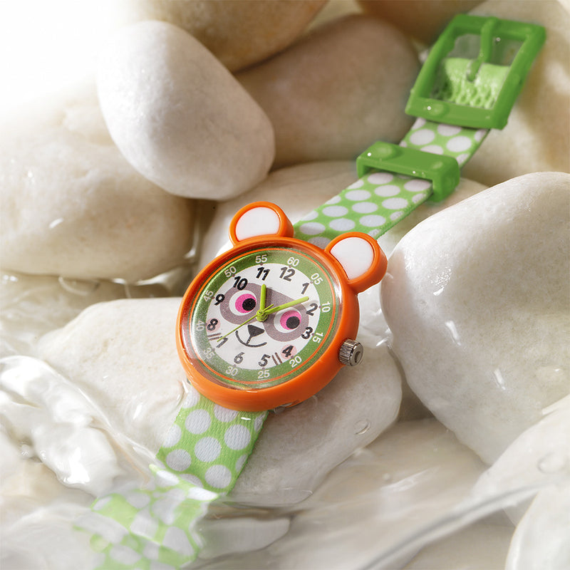 DJECO Raccoon Watch
