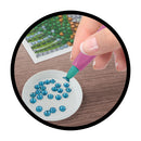 BUKI France Glitters - Koala