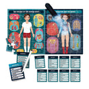 HEADU The Human Body under X-Ray