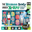 HEADU The Human Body under X-Ray