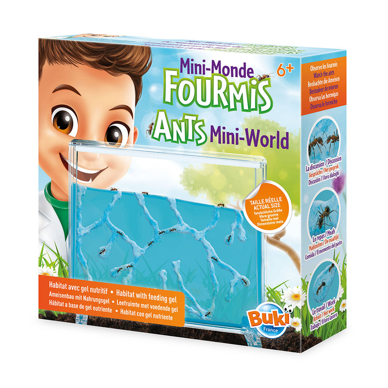 BUKI France Ants Mini-World