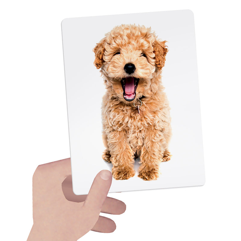 HEADU Flashcards Tactile Montessori