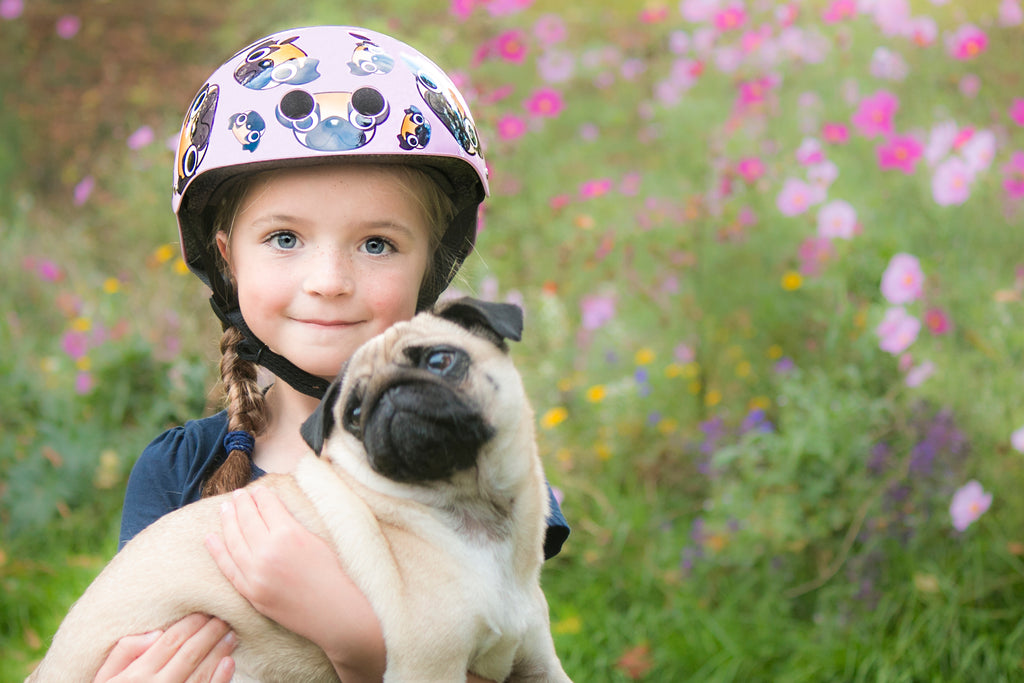 Hornit pug sales puppies helmet